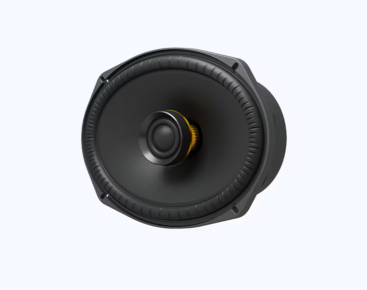 Sony XS-690ES - Premium ES Series