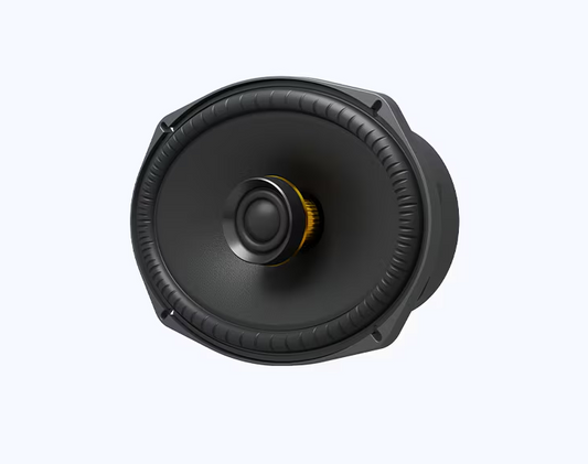 Sony XS-690ES - Premium ES Series