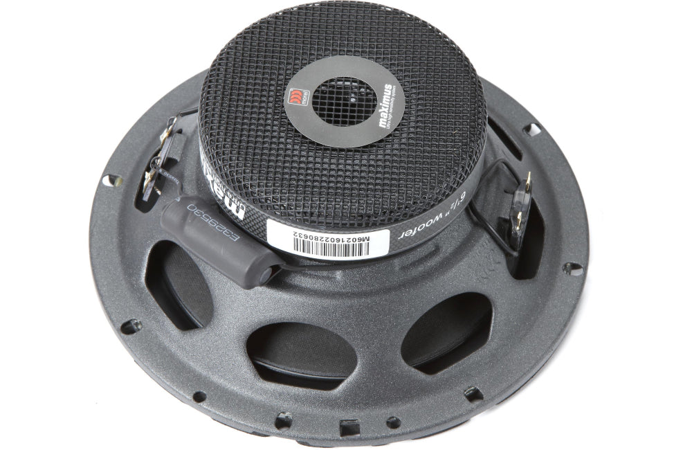 Morel Maximo HE - High Efficiency